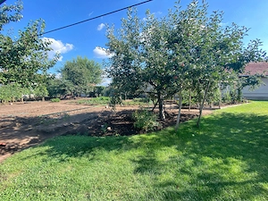 Eladó családi ház 163 nm+1105nm pénzt termelő gyümölcs kert Jászszentandráson - kép 17