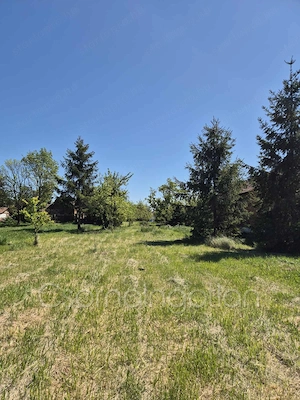  Páli - részben közművesített építési telek eladó - kép 3