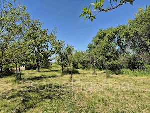  Páli - részben közművesített építési telek eladó - kép 2