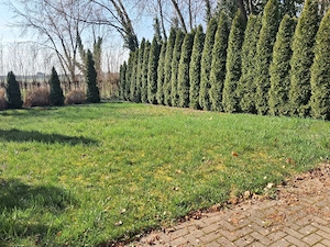 Dombóvár Gunarasfürdő eladó kertes ház  - kép 11