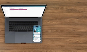 Távmunka, Informatikust keresünk, tartalomkezelő rendszer