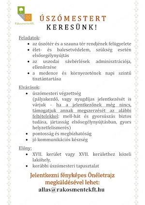 Úszómester kollégát keresünk, nemcsak nyárra! - kép 3