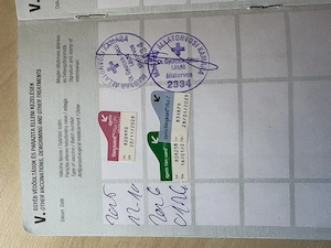 Eladó foxi kutyák já - kép 5