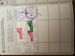 Eladó törpe tacskó fiú - kép 3