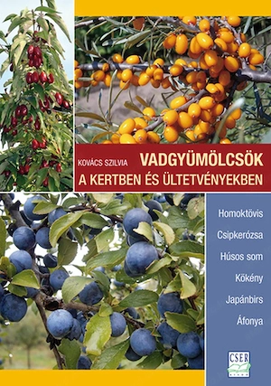 Kovács Szilvia Vadgyümölcsök  a kertben és ültetvényekben Homoktövis   Csipkerózsa   Húsos som 