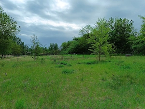 Eladásra kínálok 11000 m2-es mezőgazdasági telket, Őrbottyán határában. - kép 2