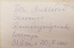 Galambos kislány -zen tollrajz eladó - kép 5