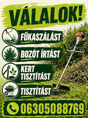 Fűkaszálás bozót írtás