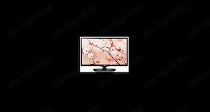 LG TV-monitor 60 cm-es