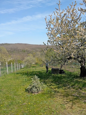 Pákozdi telek eladó - kép 2