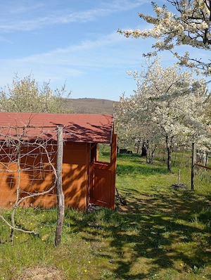 Pákozdi telek eladó - kép 3