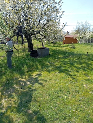 Pákozdi telek eladó - kép 7