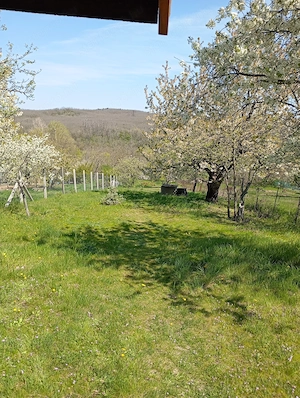 Pákozdi telek eladó - kép 4