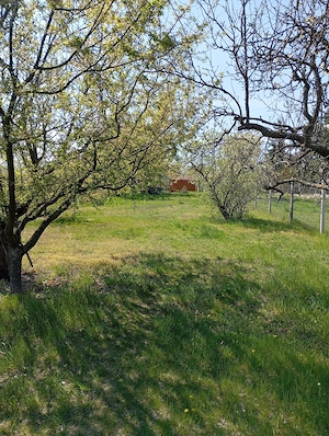 Pákozdi telek eladó - kép 11