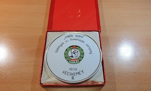1973-as MHSZ búvárverseny hollóházi porcelán díj eladó - kép 10