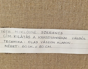 Kilátás egy festői szépségű Andrássy- kastélyból  - kép 2