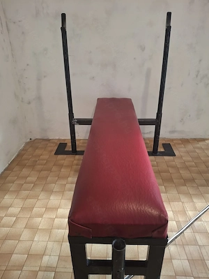 Fekvenyomó pad Scott-paddal - kép 8