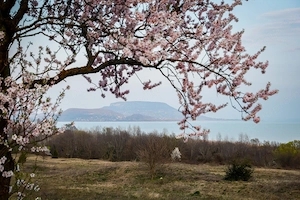 Takarítónő munkalehetőség, Balaton, szállással, utazási támogatással