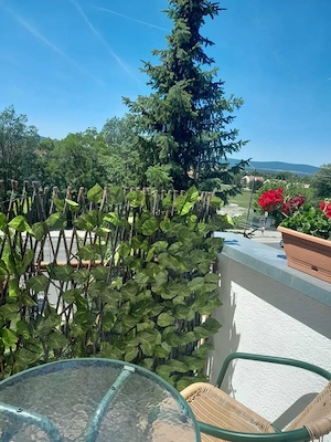 Veszprémi panorámás 56m2 tégla lakás eladó vagy kisebbre cserélhető, értékegyeztetéssel! - kép 2