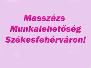 Masszázs munka igényes Nőknek!