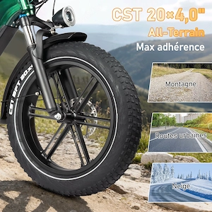 Bird Maxtor Fat Bike - kép 4