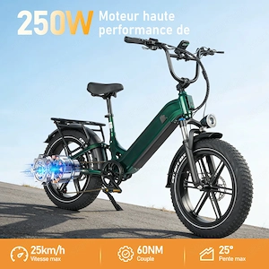 Bird Maxtor Fat Bike - kép 8