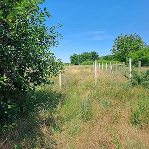  Nyáregyháza- Felsőn 63 m2-es, 2 szobás családi ház, 1800 m2 telekkel - kép 9