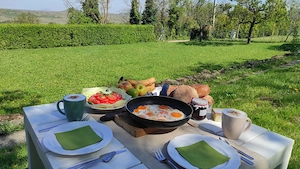 Balaton-felvidéken eladó nyaraló - erdővel - kép 9