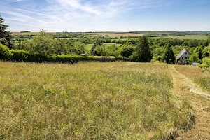 Bozsokon panorámás telek eladó! - kép 3
