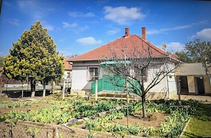 Eladó Családi Ház  Gyümölcsös 1105 nm Jászszentandráson - kép 9