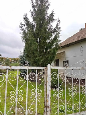 Fejlesztési potenciállal rendelkező ingatlan a Tisza-tónál - kép 5