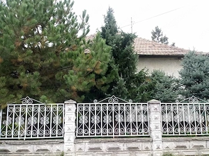 Fejlesztési potenciállal rendelkező ingatlan a Tisza-tónál - kép 3