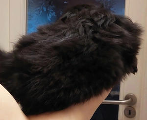 Pekingi palotapincsi kölyök kutyák  - kép 5