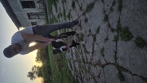Staffordshire terrier - kép 2
