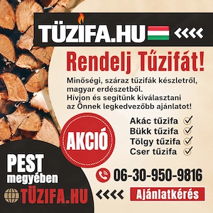 Legjobb Tűzifa Budapesten és Pest megyében - kép 2