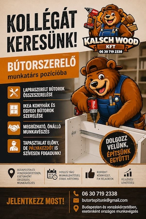 Pályakezdők jelentkezését is várjuk!