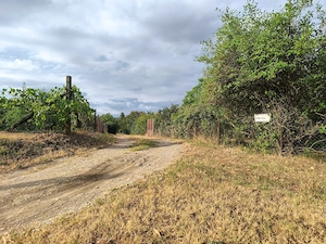 Eladó 996 m -es belterületi telek Győrben,  a fehérlakosi dülőben.(Ipari Park és a város között)