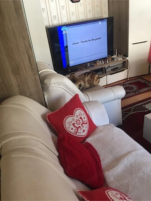 Bp. XX.ker. Határ utca - kép 5