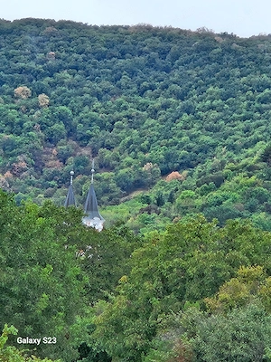 Szőlőterület - kép 4