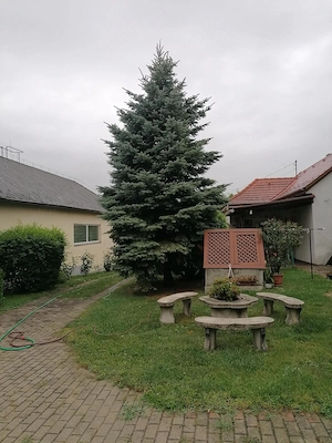 Családi Ház Isztimér központjában 3137 m2-es telken eladó !  - kép 2