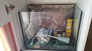 60l akvárium eladó - kép 2