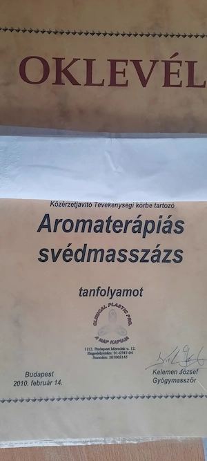 Masszázs terapeuta házhoz - kép 4