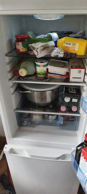eladó tökéletesen működik kombinalt hűtő  - kép 4