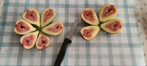 Füge csemeték eladók Sülysápon - kép 7
