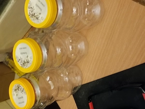 2db Nagy mézes mackó PET flakon lapkával 1000mg 1500ft óbuda 36 50 104 8272 - kép 2