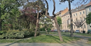Győr-Belvárosában, a Bisinger sétányon parkra néző 72 m2-es, erkélyes lakás eladó