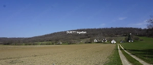 Kajárpécen   Győrtől 20 kmk-re   2561 m2-es telek eladó - kép 4
