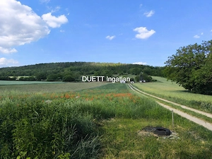 Kajárpécen   Győrtől 20 kmk-re   2561 m2-es telek eladó - kép 6