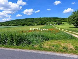 Kajárpécen   Győrtől 20 kmk-re   2561 m2-es telek eladó