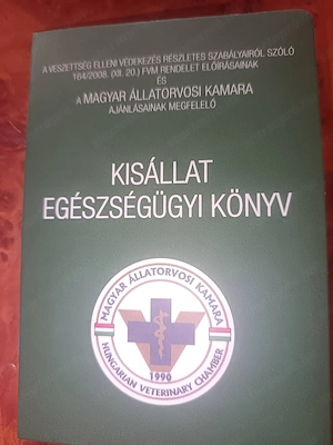 Törpetacskó kan kutya  - kép 4